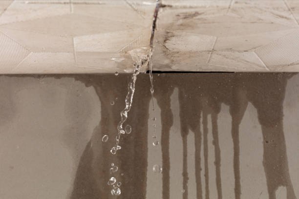 Professional Structural Drying technician working in Bluffton, TX